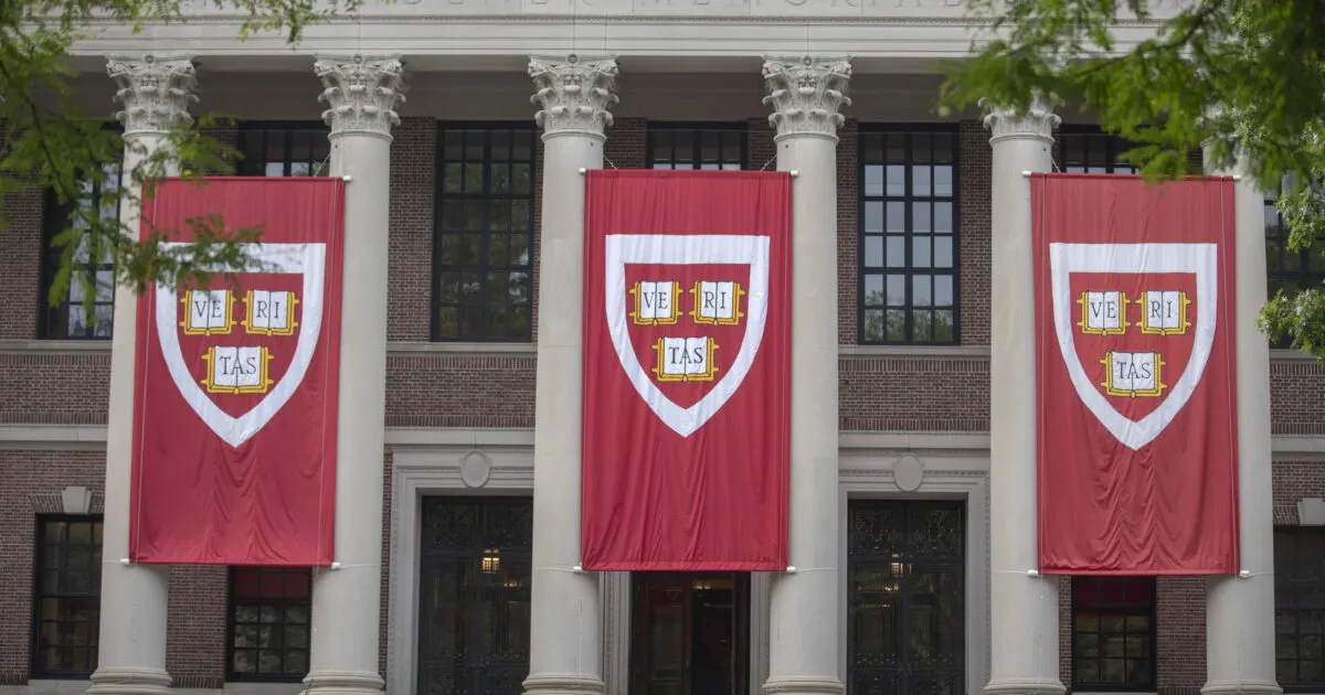 Harvard AI Bootcamp Summer Program